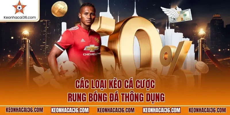 Các loại kèo cá cược rung bóng đá thông dụng